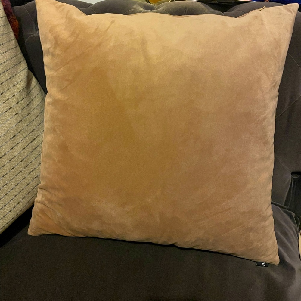 Rodeo Home cotton velvet down pillow